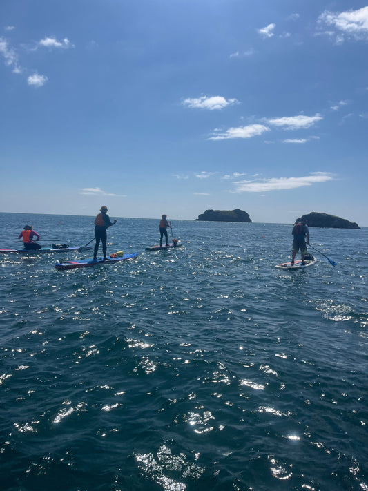 South Devon - 6-10 July 2026 - Fully booked! Why not join us for our September trip?